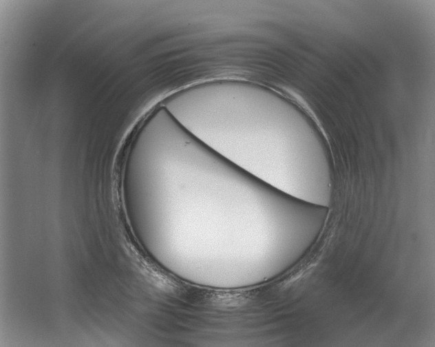 X0000064770835200602101051