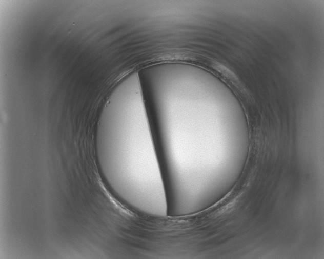 X0000064770841200602101051
