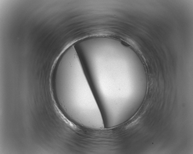 X0000064770843200602101051