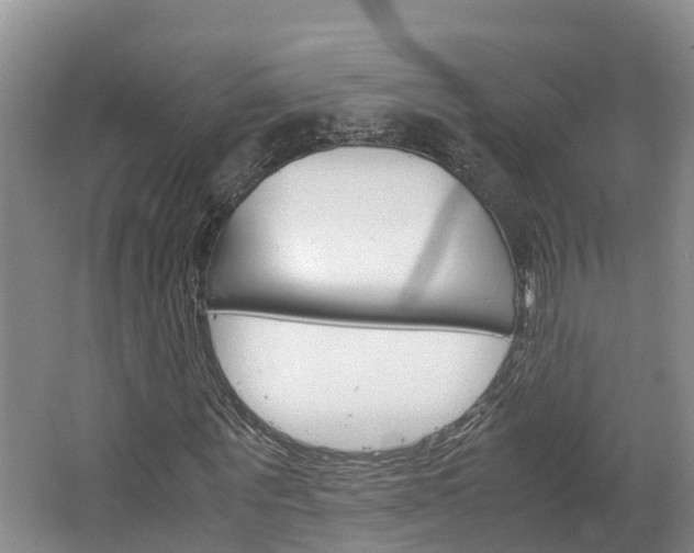 X0000064770867200602101051
