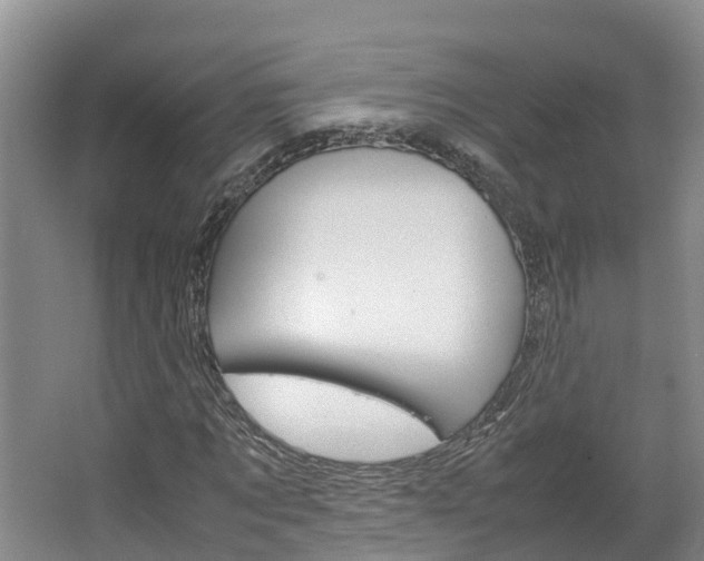 X0000064770869200602101051