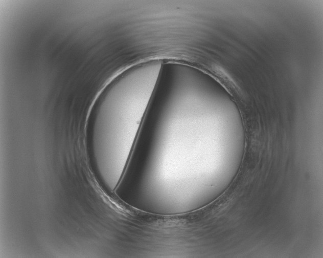 X0000064770884200602101051