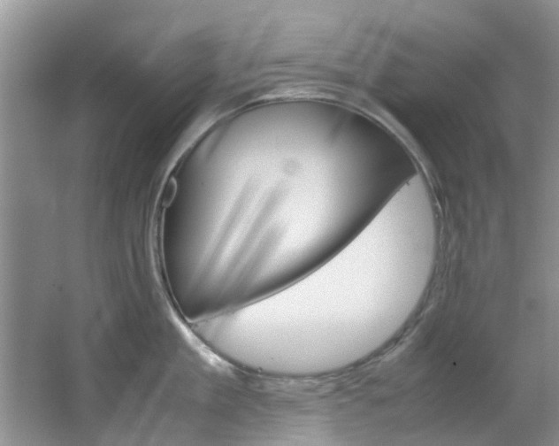 X0000064770909200602101050