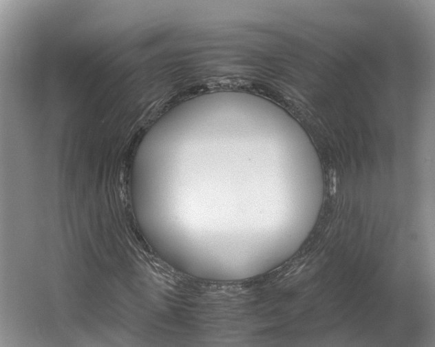 X0000064770915200602101049