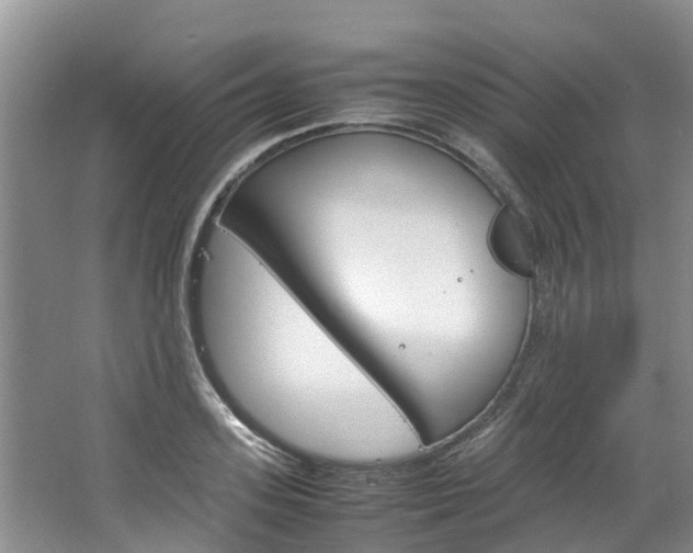 X0000064770939200602101050