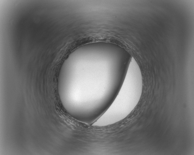 X0000064770961200602101049