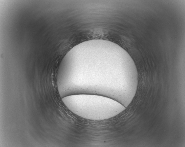 X0000064770962200602101049