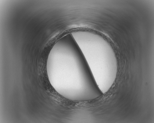 X0000064770967200602101049