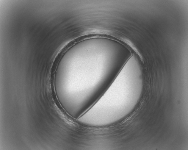 X0000064770972200602101049