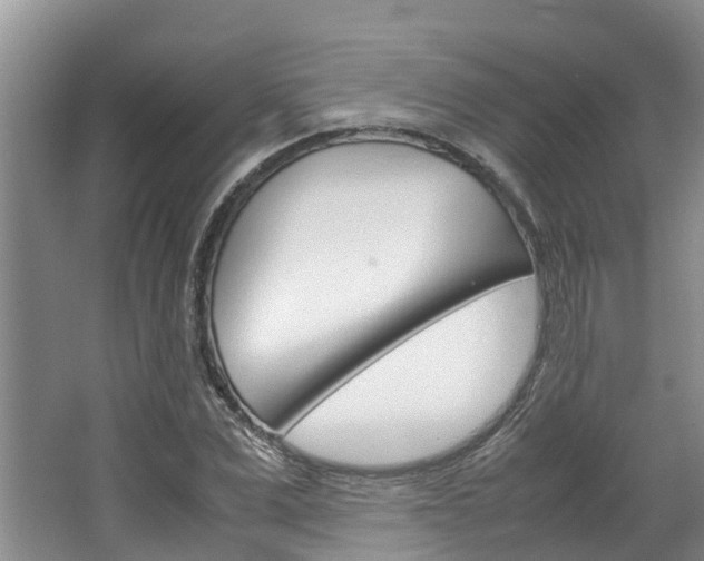 X0000064770975200602101049