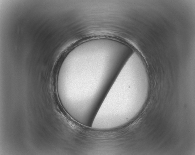 X0000064770979200602101049