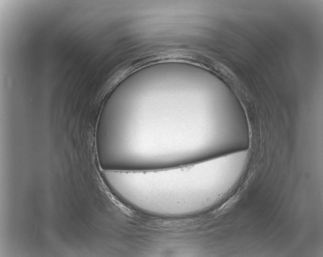 X0000064770985200602101049
