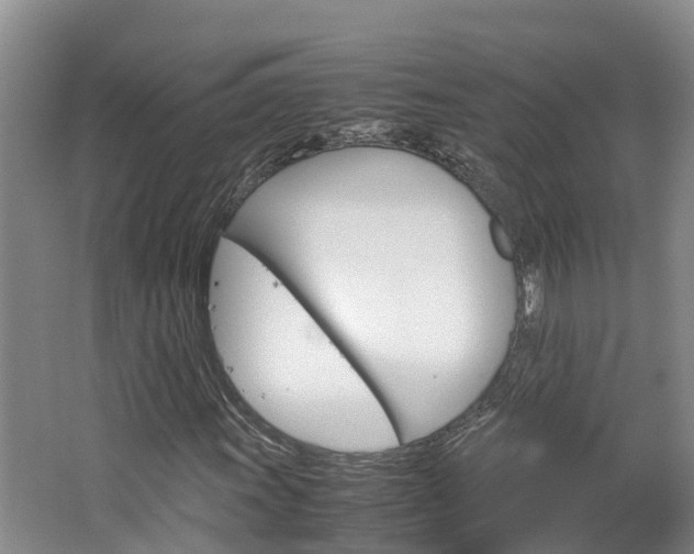 X0000064771011200602101048