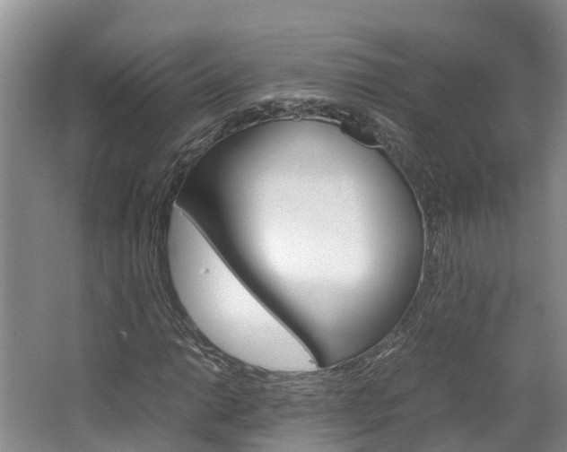 X0000064771014200602101048