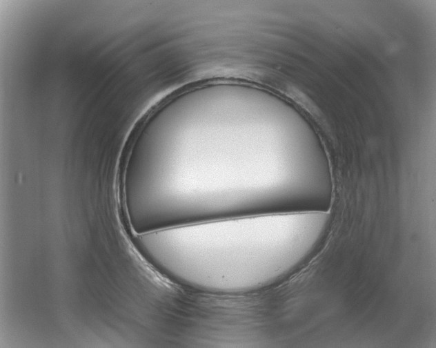 X0000064771028200602101048