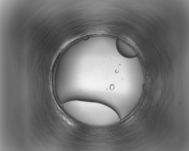 X0000064771035200602101048