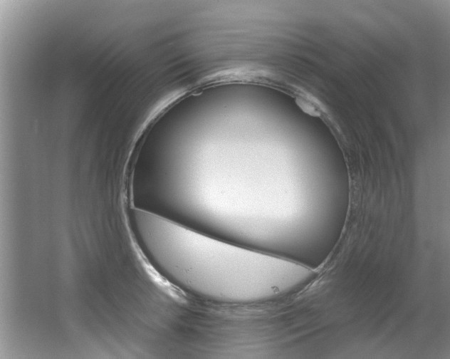 X0000064771042200602101048