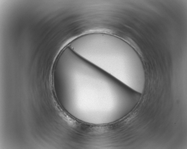 X0000064771044200602101048