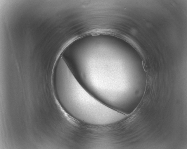 X0000064771050200602101048
