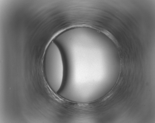 X0000064771052200602101048