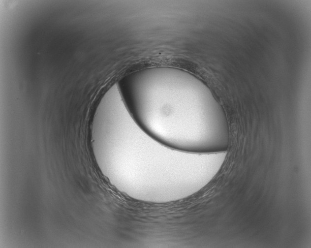 X0000064771057200602101048