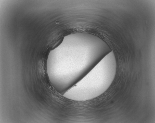 X0000064771060200602101048