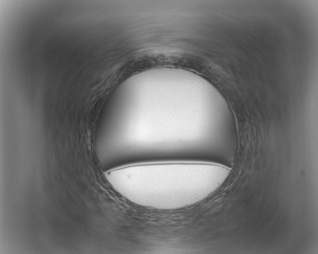 X0000064771061200602101048