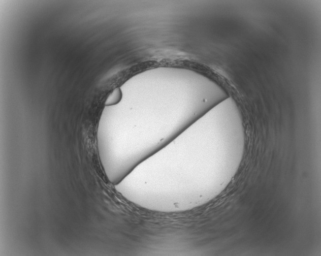 X0000064771063200602101048