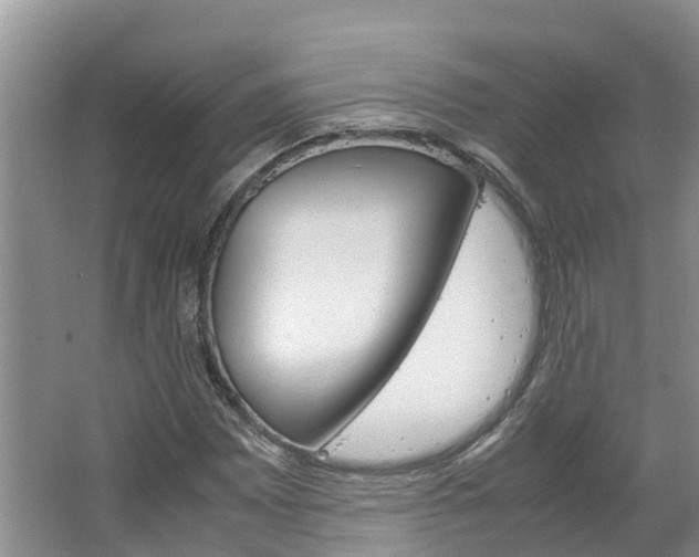 X0000064771065200602101048