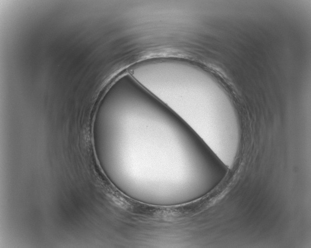 X0000064771073200602101047