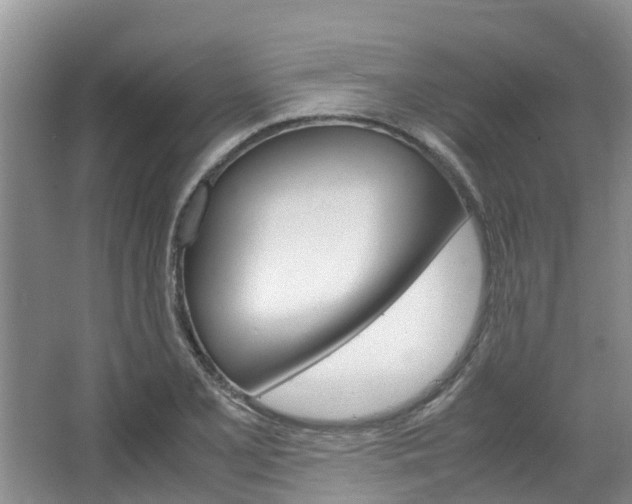 X0000064771077200602101047