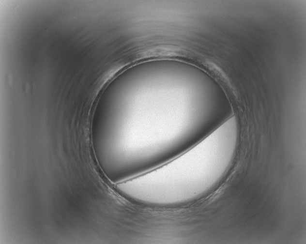 X0000064771081200602101047