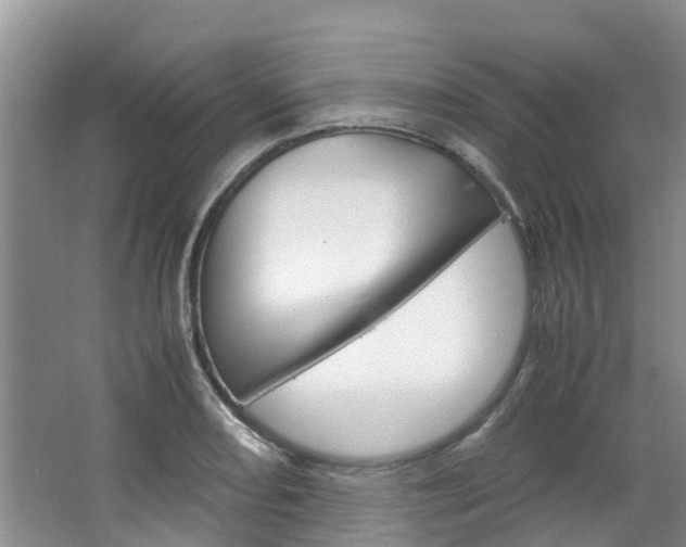 X0000064771082200602101047