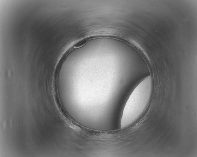 X0000064771085200602101047