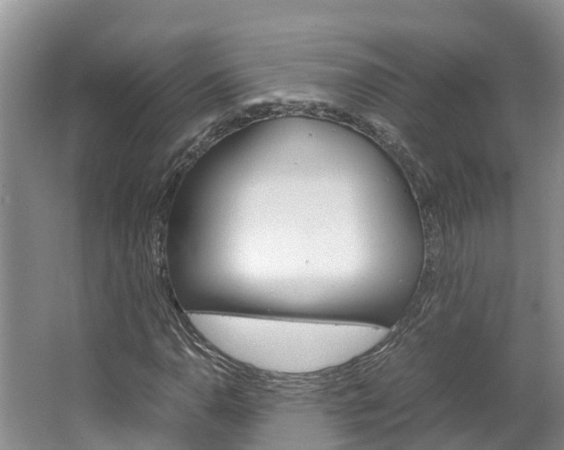 X0000064771110200602101046
