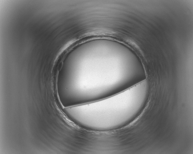 X0000064771114200602101046