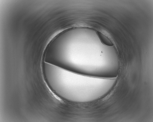 X0000064771141200602101047