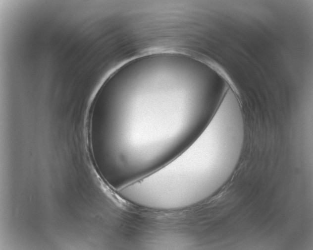 X0000064771148200602101047