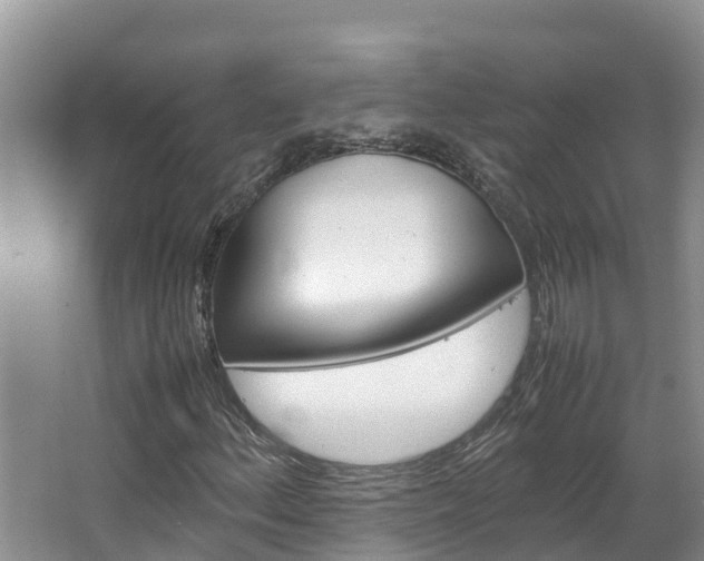 X0000064771156200602101046