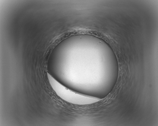 X0000064771157200602101046
