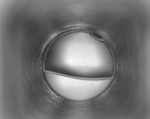 X0000064771164200602101046