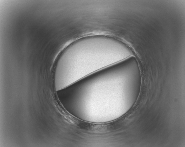 X0000064771171200602101046