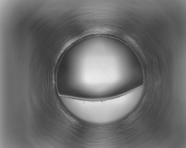 X0000064771226200602101045
