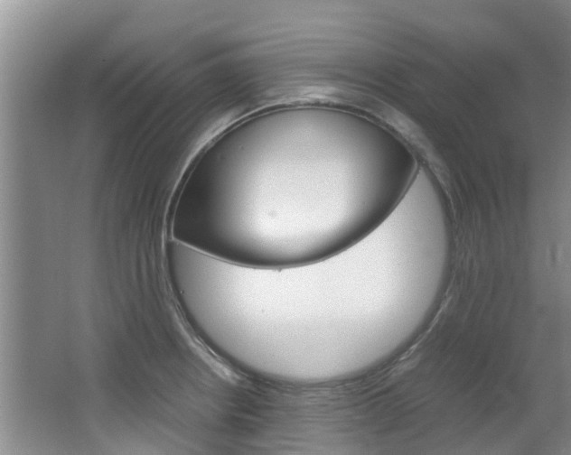 X0000064771234200602101045