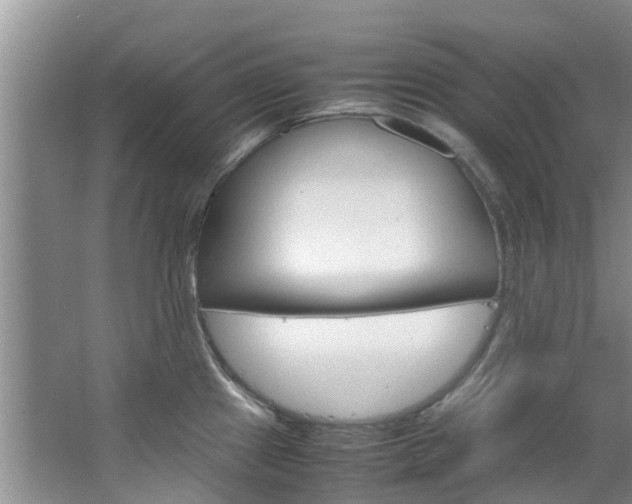 X0000064771241200602101045