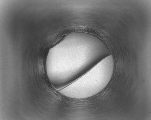 X0000064771252200602101044