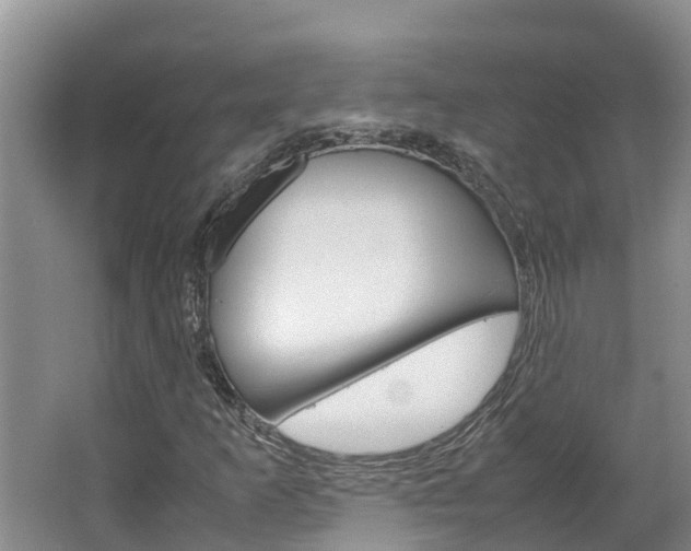 X0000064771253200602101044