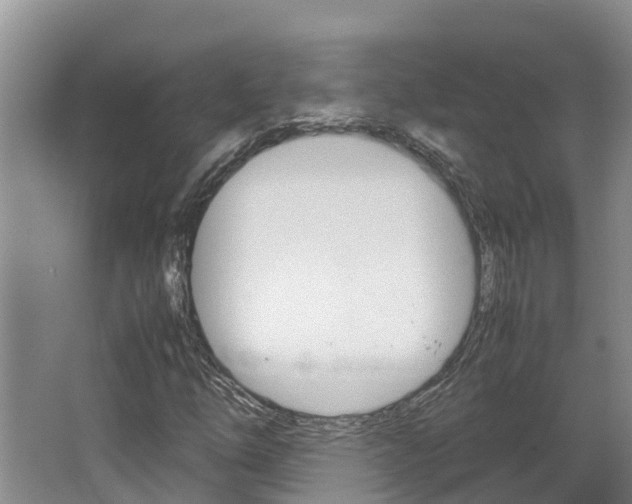 X0000064771254200602101044