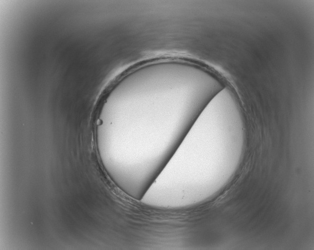 X0000064771271200602101044