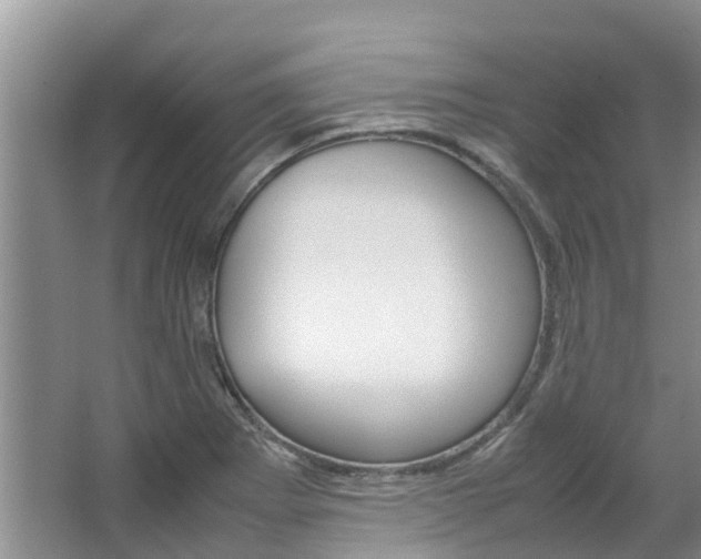 X0000064771273200602101044
